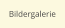Bildergalerie