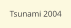 Tsunami 2004