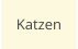 Katzen