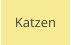 Katzen