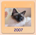 2007