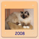 2008