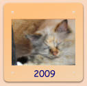 2009