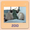 2010