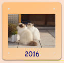 2016