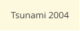 Tsunami 2004