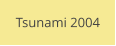 Tsunami 2004